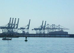 [photo, Seven post Panamax and four super-post Panamax cranes, Seagirt Marine Terminal, Port of Baltimore, Baltimore, Maryland]