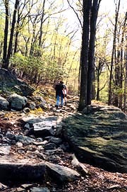 [photo, Hikers in Catoctin Mountain National Park near Thurmont, Frederick County County, Maryland]